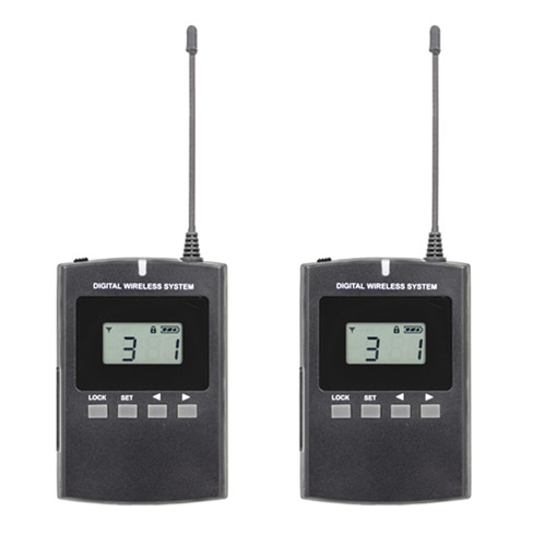 Audio tour guide system