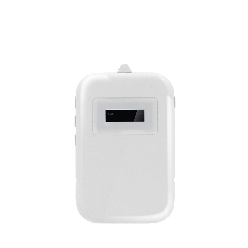 audio guide system
