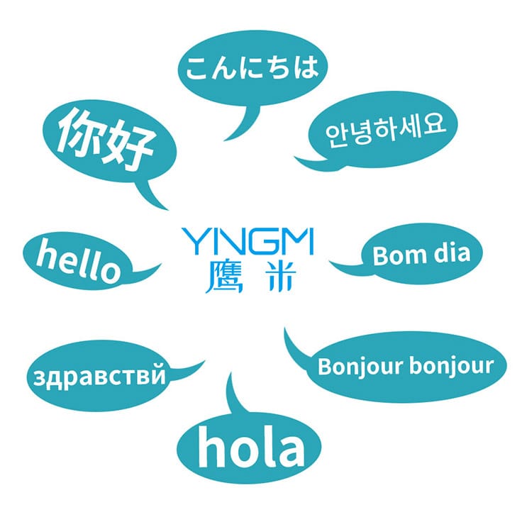 Multilingual Multilingual