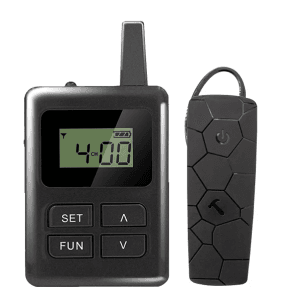 Wireless Audio Guide System