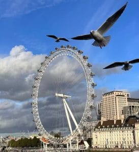 London eye