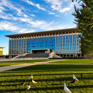 Ningxia Typical College