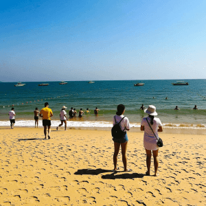 Beautiful Area Tour Guide