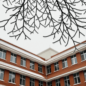 Ningxia Typical University