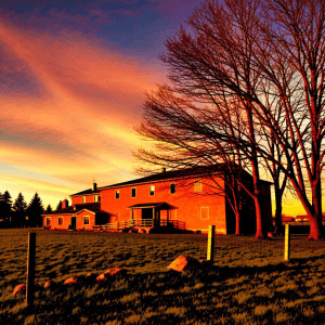 a rural contemporary farming industrial park