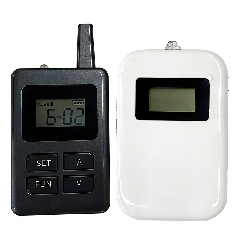 wireless audio guide system